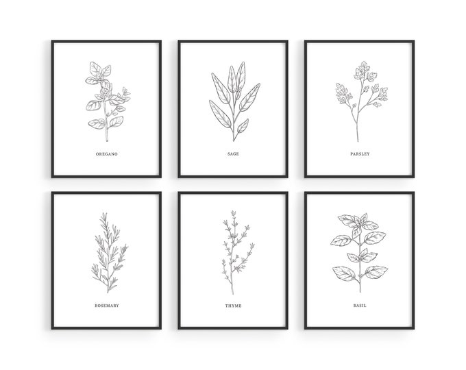 Haus and Hues Kitchen Herbs Wall Art Decor for Kitchen - Set of 6 Herb Art Prints and Kitchen Signs Wall Decor, Herb Prints