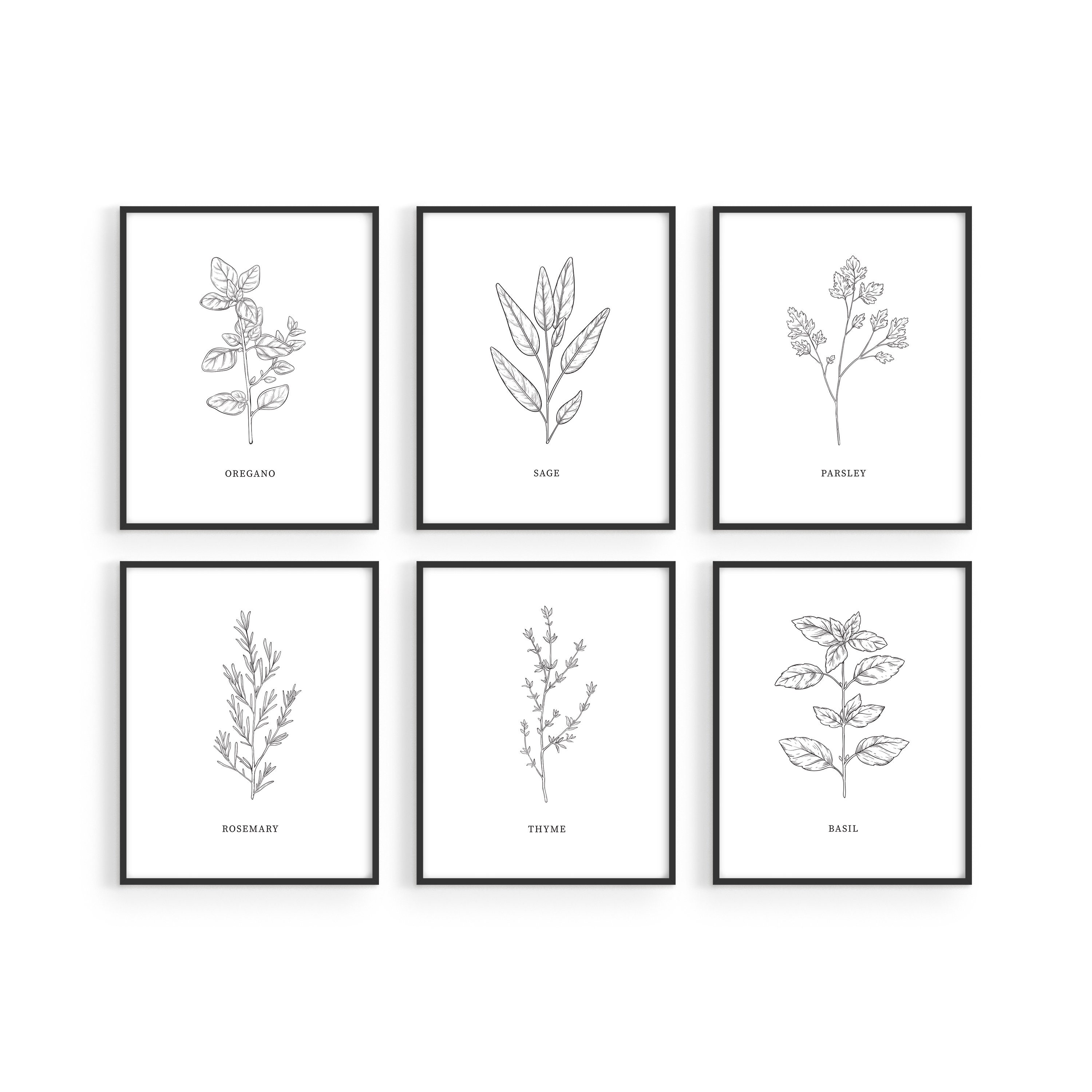 Haus And Hues Kitchen Herbs Wall Art Decor For Kitchen Set Etsy