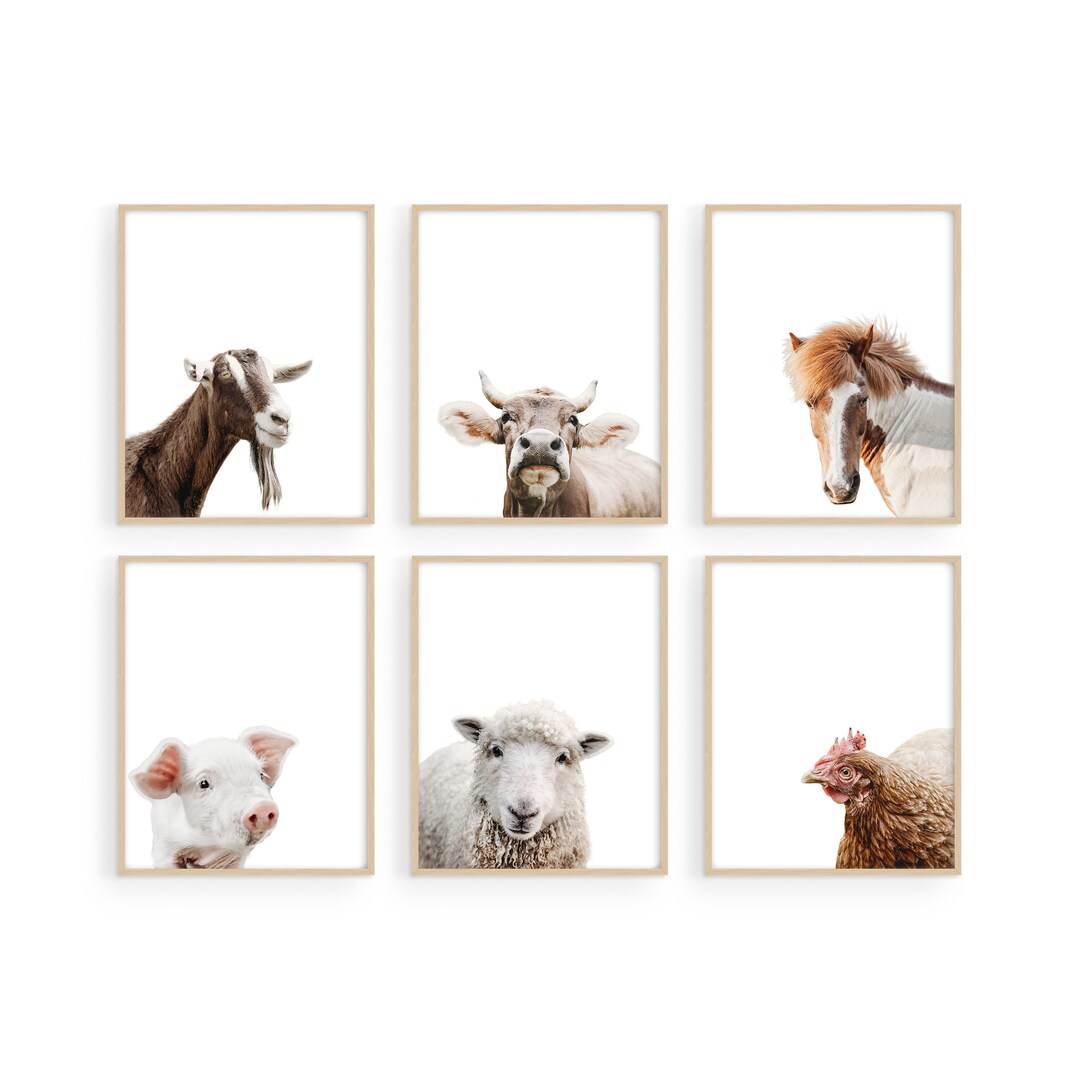 Haus and Hues Rustic Farm Animal Pictures Farmhouse Wall Art and