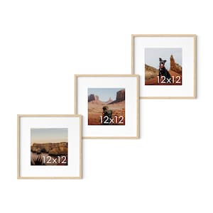 May include: Three square framed prints, each 12x12 inches, with natural wood frames. The prints feature scenic landscape photographs, including a dog in a desert setting. The frames are arranged in a layered display.