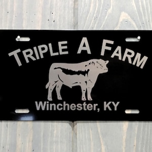 Laser Engraved License Plate, Your Choice of Image/Words, Custom License Plate, Personalized License Plate, Vanity Plates, Corporate Gifts