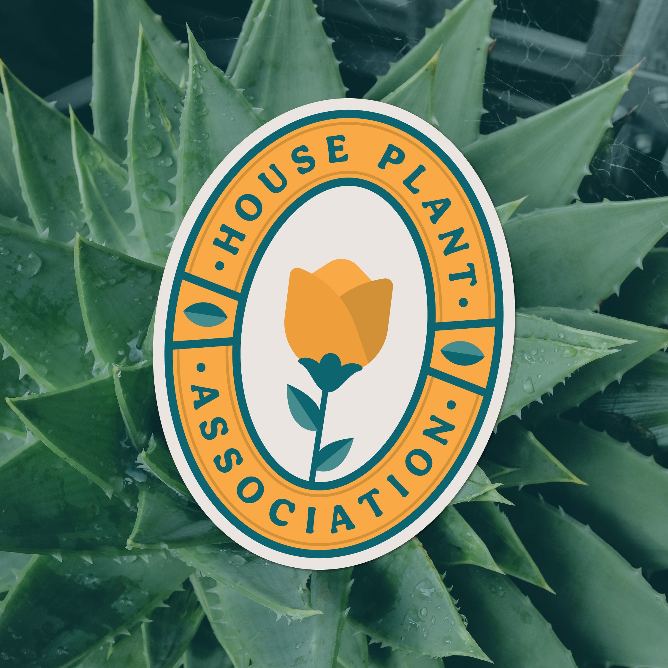 Houseplant Association Sticker - Etsy