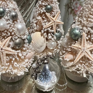 May include: Coastal-themed Christmas tree decorations. Three small, snow-covered bottle brush trees are adorned with seashells, starfish, and silver ornaments. A clear glass ornament with a miniature tree and pearls hangs in front.
