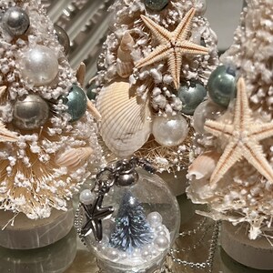 May include: Coastal-themed Christmas decorations featuring miniature bottle brush trees adorned with seashells, starfish, and pearl-like ornaments. A clear glass snow globe with a miniature tree and pearls is in the foreground. The trees are on a reflective surface.