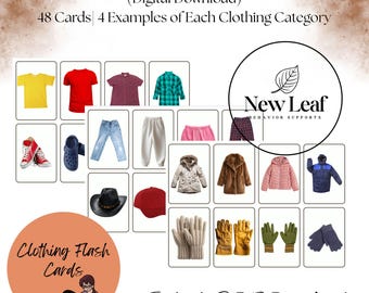 Clothing ID Flash Cards | DTT| Special Education
