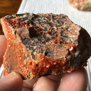 129g Vanadinite Crystals on Matrix Specimen A