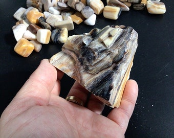 252g Natural Opalised Wood Rough Piece 9B