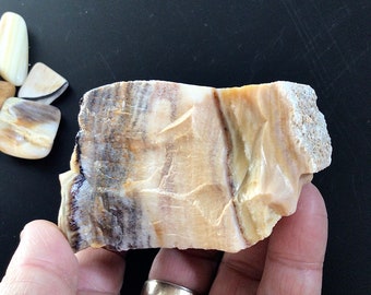 172g Natural Opalised Wood Rough Piece 6C