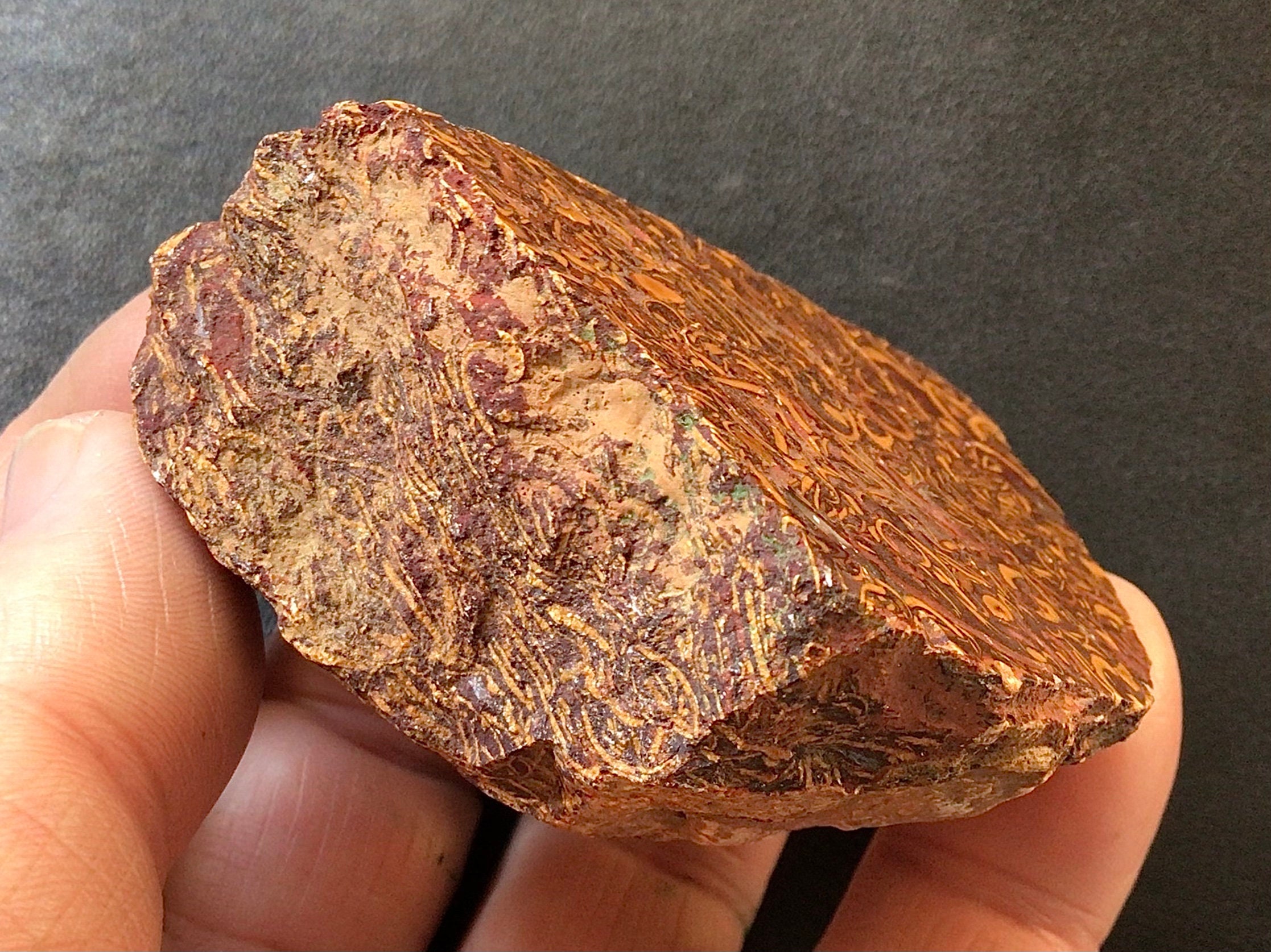 138g Elephant Skin Jasper One Side Polished Piece 2B Etsy