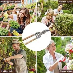 Professionele Bypass-snoeischaar, zware en scherpe schaar, tuinschaar, beste tuinieren gepersonaliseerd cadeau afbeelding 5