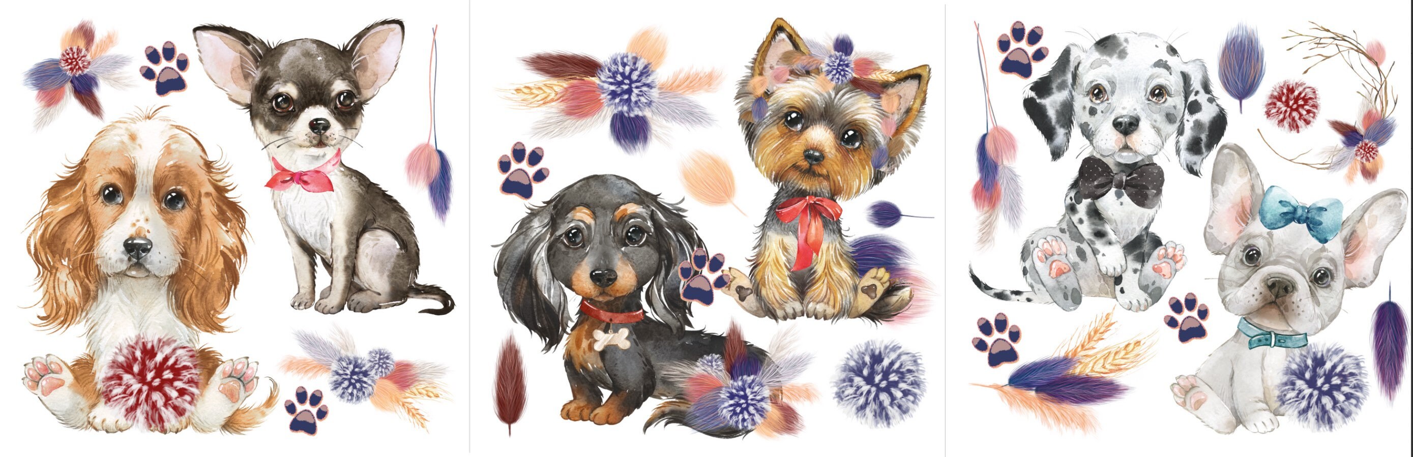 Hokus Pokus Petite Transfer - A Dogs Life