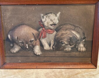 May include: A framed vintage print featuring three puppies. Two brown puppies flank a light-colored puppy wearing a red bow. The print is in a wooden frame. The name "Susie" is printed at the bottom of the image.