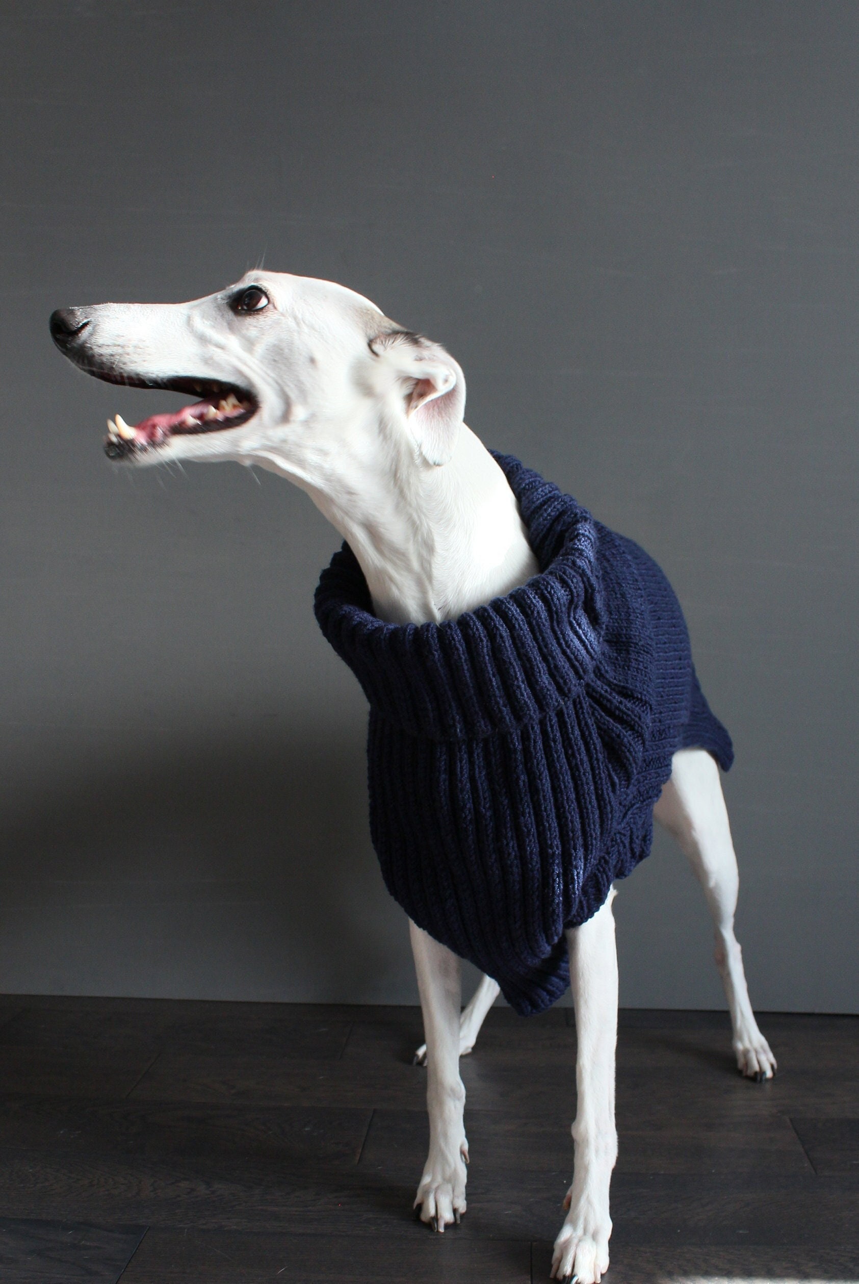 Sweaters for cheap long dogs