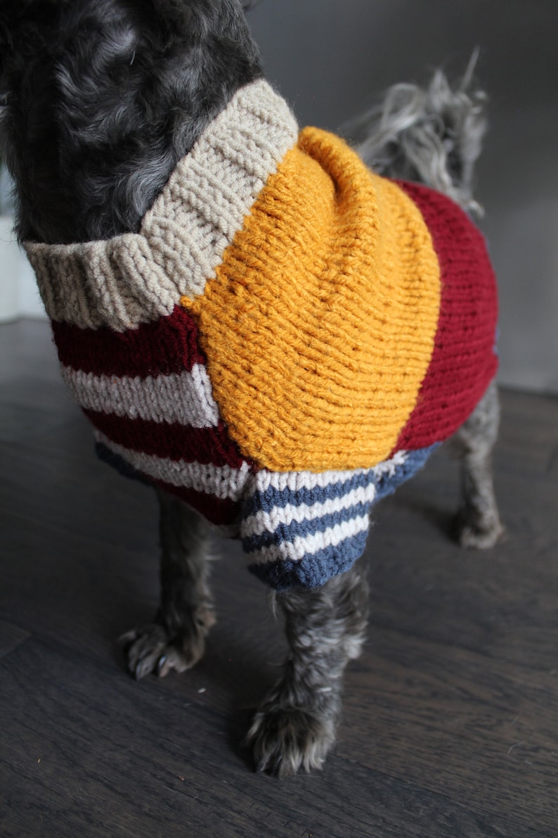 Dog Jumper Hand Knit sweater Colorful dog sweater Winter dog sweater image 4