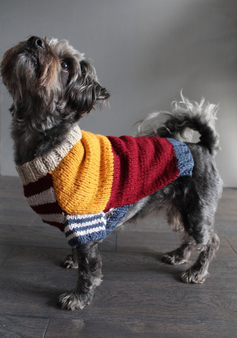 Dog Jumper Hand Knit sweater Colorful dog sweater Winter dog sweater image 1