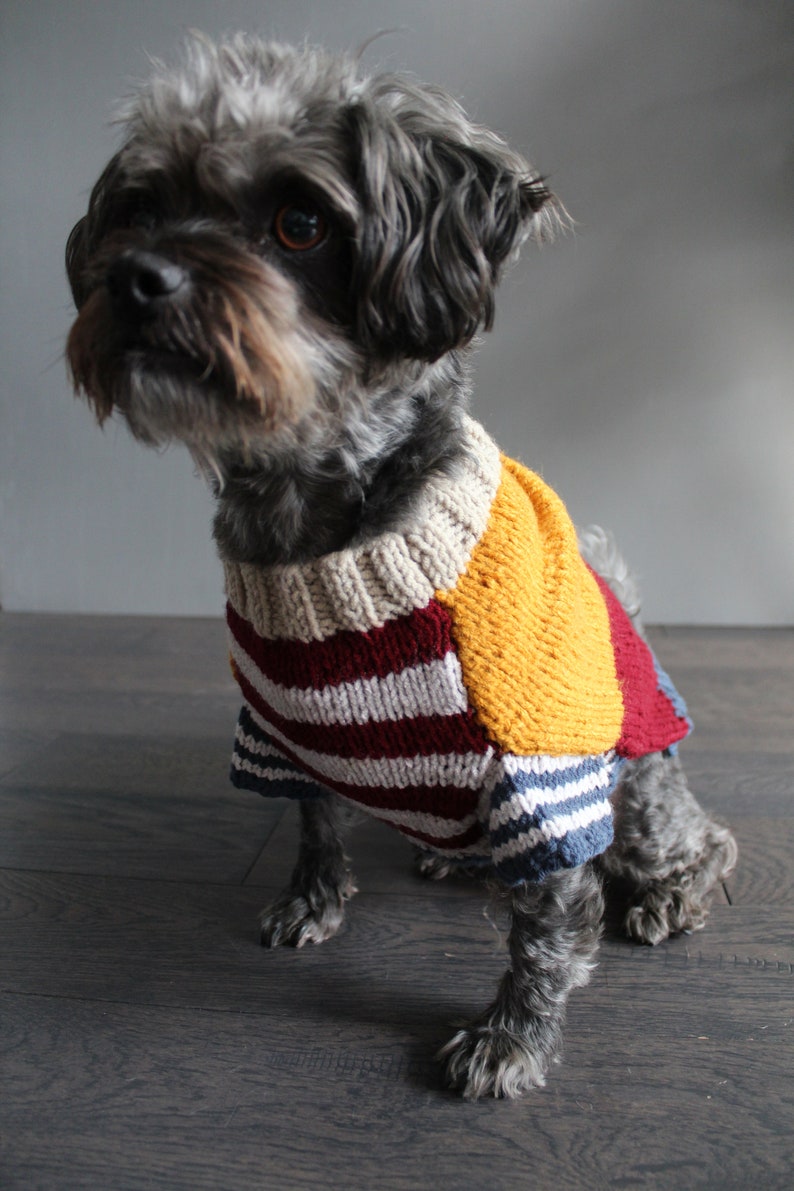 Dog Jumper Hand Knit sweater Colorful dog sweater Winter dog sweater image 5