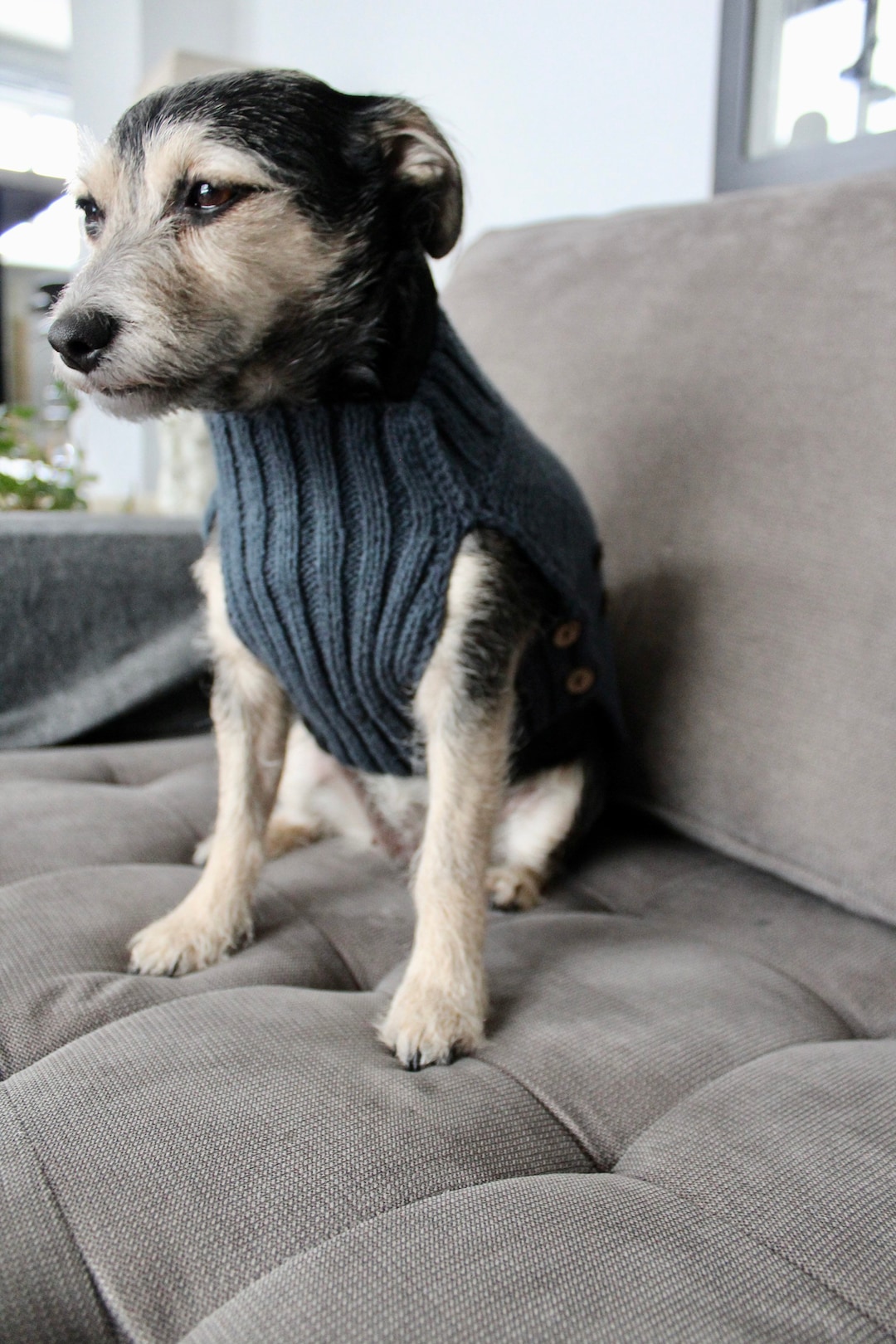 Dog Sweater adjustable XS/S/M/L warm Knitted Sweater Cozy Dog Sweater