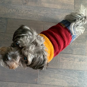 Dog Jumper Hand Knit sweater Colorful dog sweater Winter dog sweater image 6