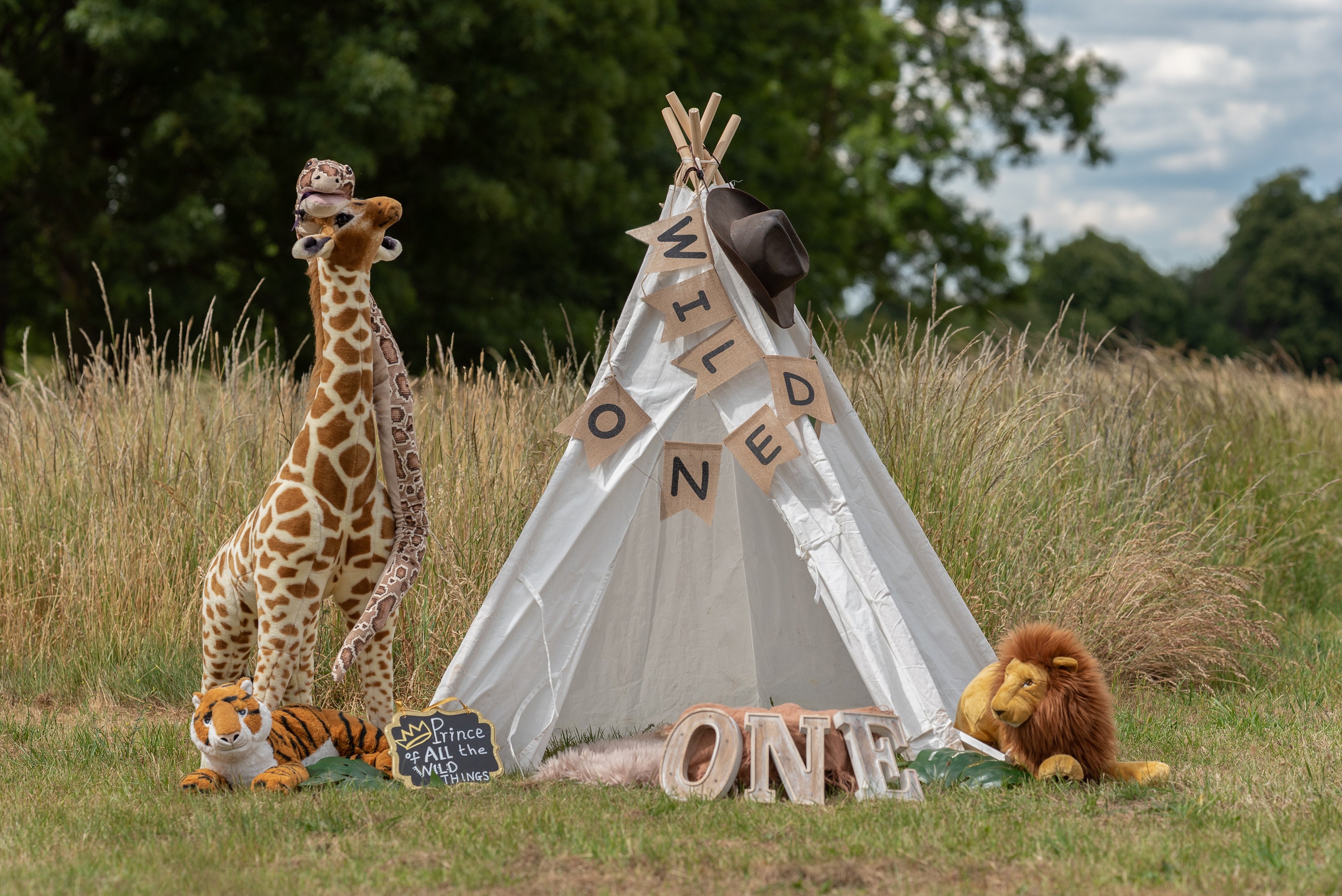 Digital Backdrop Teepee Wild One First Birthday Cake Smash - Main Image