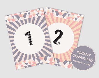 DIGITAL FILE Festival Table Numbers Instant Download