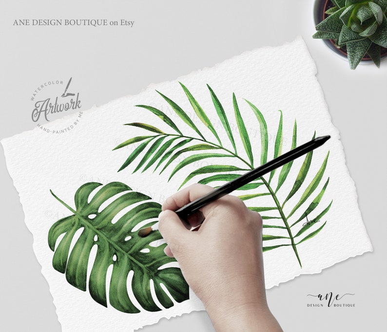 May include: Watercolor illustrations of tropical leaves, including a palm frond and a monstera leaf. The leaves are painted in shades of green and are set against a white background. The artwork is hand-painted and is perfect for adding a touch of nature to your designs.