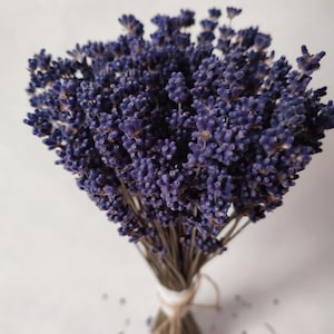 Dried Lavender Bunch | Dried Lavender Bouquet | Dried Lavender Flowers/ Dried Lavender | Lavender Bouquet | Gift for Her | Valentine&#39;s Day