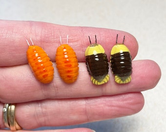 Isopods stud earrings, handmade earrings, gift for animal lover