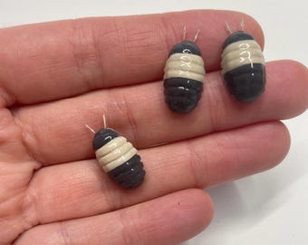Könnte beinhalten: Drei kleine, keramische Asseln mit weißen und dunkelgrauen Streifen. Die Asseln sind etwa 2,5 cm lang und liegen in einer Reihe auf einer Hand.
