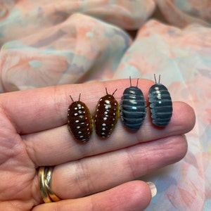 Isopods stud earrings, handmade earrings, gift for animal lover