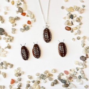 Puede incluir: Un collar con cadena plateada y colgante marrón oscuro con forma de insecto, con detalles de puntos blancos. Debajo del collar hay tres objetos similares con forma de insecto. Los objetos están rodeados de pequeños guijarros.