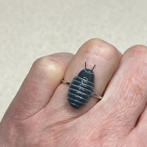 Op de afbeelding: Een zilveren ring met een grijze, gesegmenteerde, pilvormige steen. De steen lijkt op een pissebed.