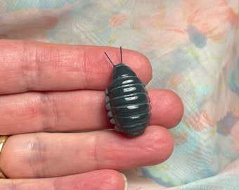 Handmade Isopod Brooch: Terrarium Pet Jewelry, Bug Lover Gift