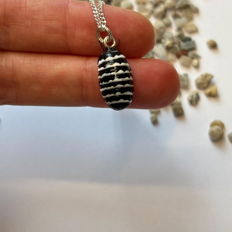 Zebra Isopod Jewelry Set: Striped Bug Pendant, Earrings & Brooch - Etsy