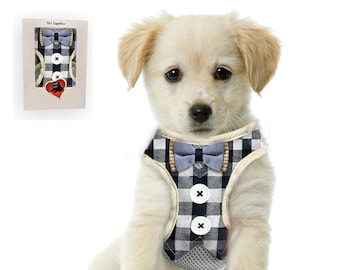 dog harness set