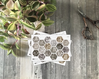 S051 • Hexagon Stamps | vintage home plants