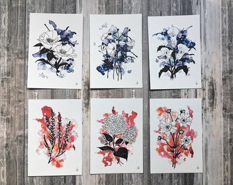 Hortensie Rosenblüte Camille Anemone Lilie Botanische Illustration Postkarten Karten druckt Saphir Rubin