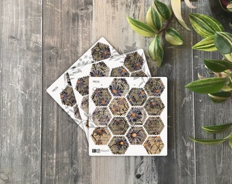 M026 • mini hollow hexagon stamps | aster
