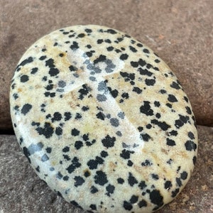 Pocket Cross - one of a kind Polished Dalmatian Jasper - 1 stone