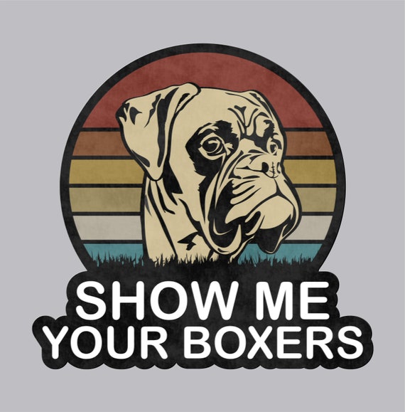 Show me a boxer 2025