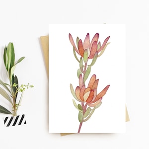 Blank Protea Card | Watercolour Native Australian Flower