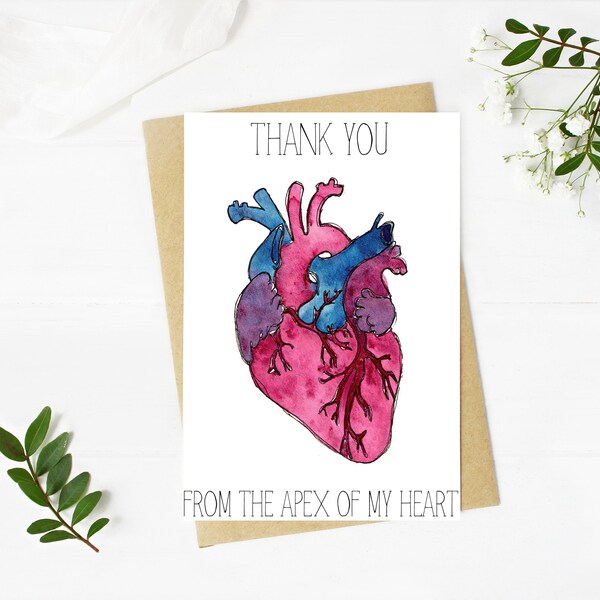 Thank You From the Apex of My Heart | Funny Medical Thank You Card | Anatomical Heart