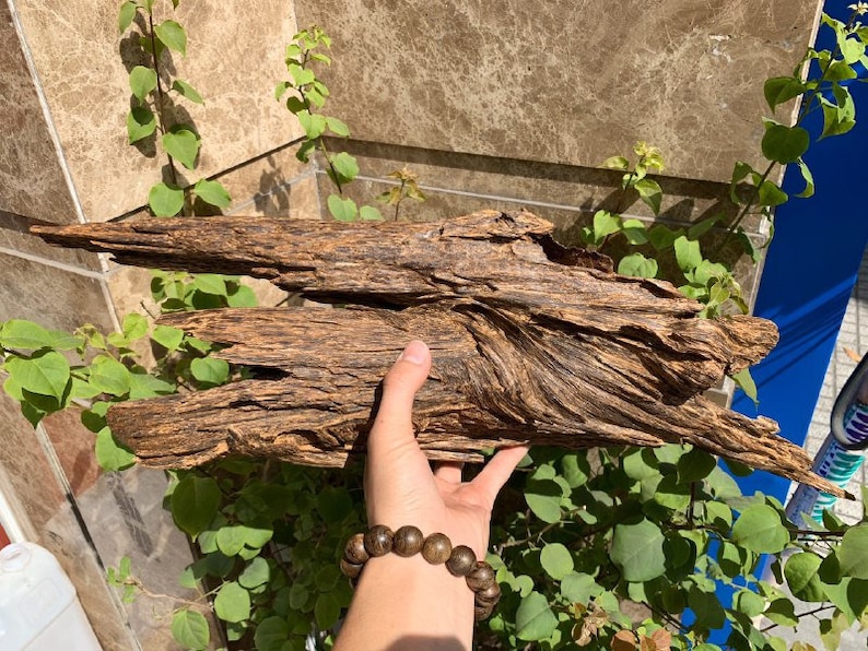 Wild Agarwood 1035 Grams Wild Malaysia Agarwood Oud Chips Etsy
