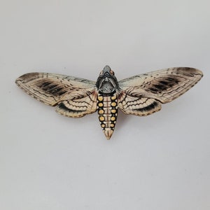 Woodcut Moth Hair Clip