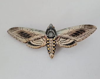 Woodcut Moth Hair Clip