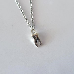 Simple Tooth Charm Necklace You Choose Length Stainless Steel Chain
