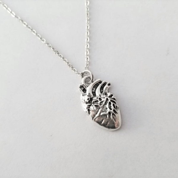 Simple Silver Anatomical Heart Charm Necklace You Choose Length