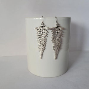 May include: A pair of silver fern-shaped dangle earrings. The earrings are long and delicate, with a detailed fern design.
