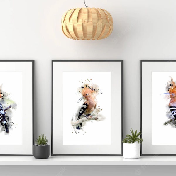 3 Hoopoe Birds Watercolor Prints on A4 230g Aquarelle Paper. Nursery Decor.