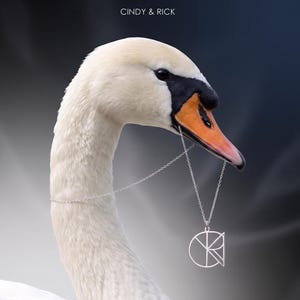 May include: A silver-toned necklace featuring a circular pendant with geometric line cutouts, held in the beak of a white swan. The text CINDY & RICK is printed at the top. The pendant hangs from a thin, delicate silver-coloured metal chain.