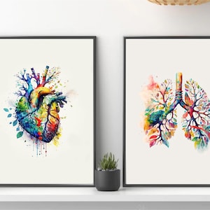 Impresión única de dibujo anatómico de corazón y pulmones en lienzo de alta calidad. Decoración de pared.